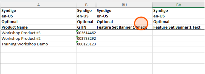 dataview4.png