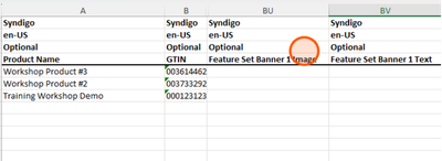 dataview4.png